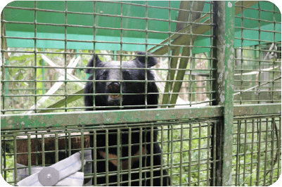 升陽農產蔬菜脆片,天然健康的零食選擇,適合全家享用。.